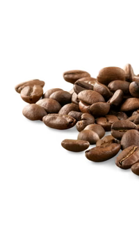 Premium Arabica Coffee