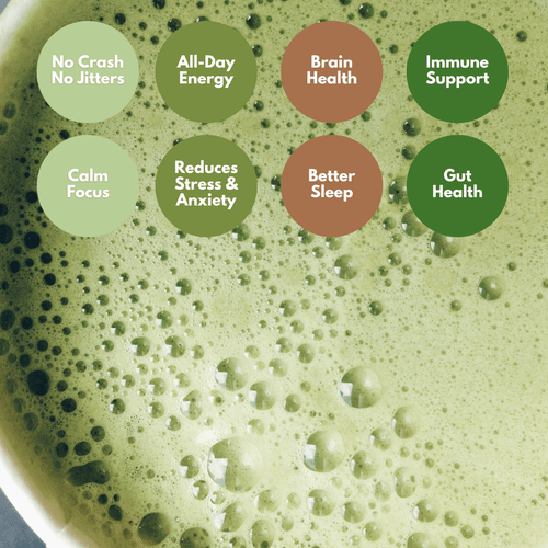 'Year of Matcha' Bundle