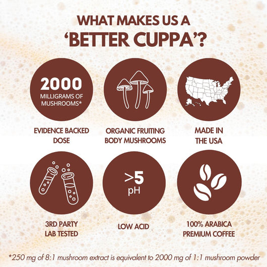 'Year of Coffee' Bundle