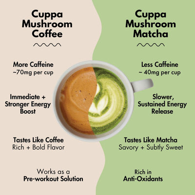 'Year of Matcha' Bundle